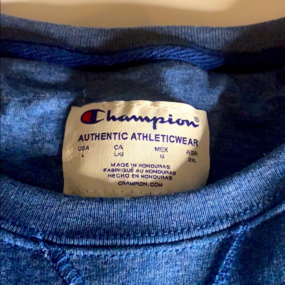 Two Tone Champion Sweatshirt